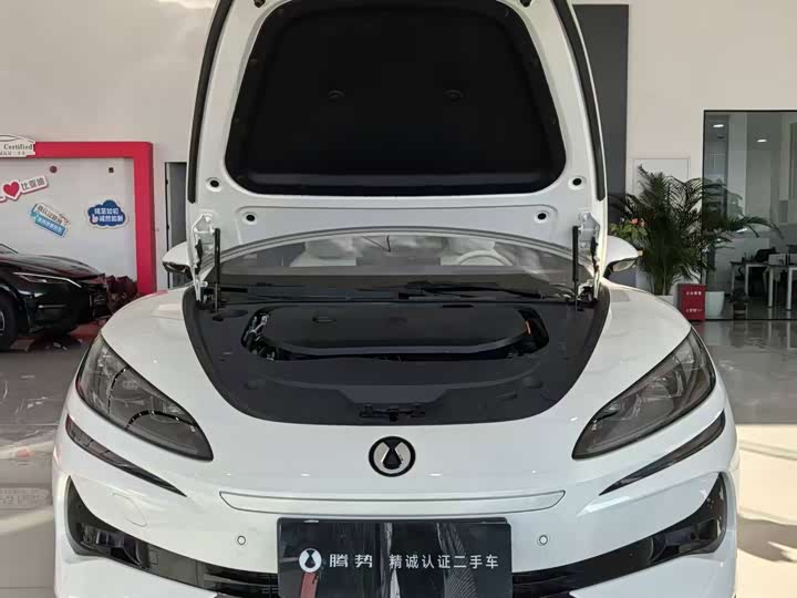 Фото 4 - Denza Z9