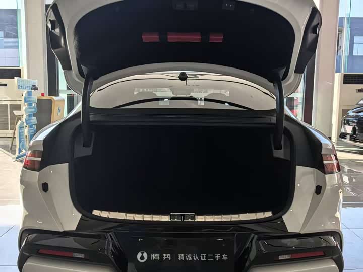 Фото 9 - Denza Z9