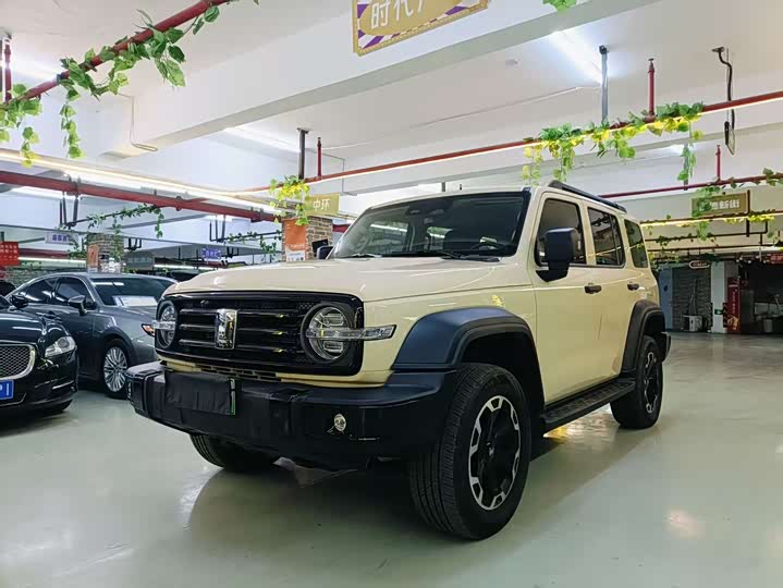 Фото 1 - Tank 300 Hybrid