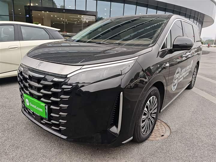 Фото 2 - BYD Xia