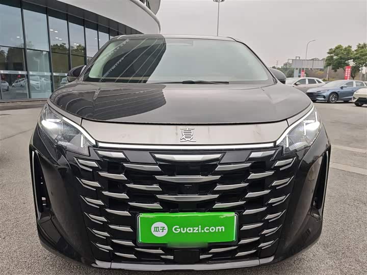 Фото 3 - BYD Xia