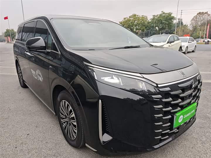 Фото 4 - BYD Xia