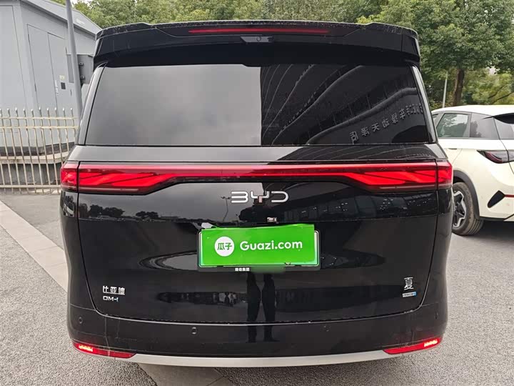 Фото 6 - BYD Xia