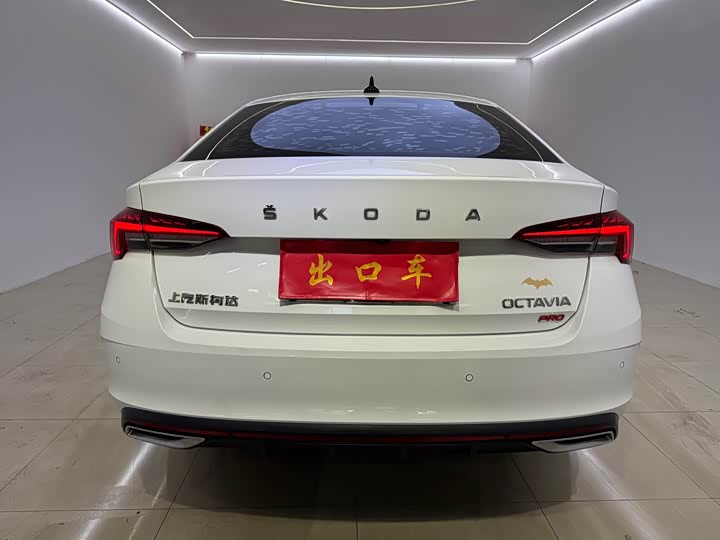 Фото 5 - Skoda Octavia Pro