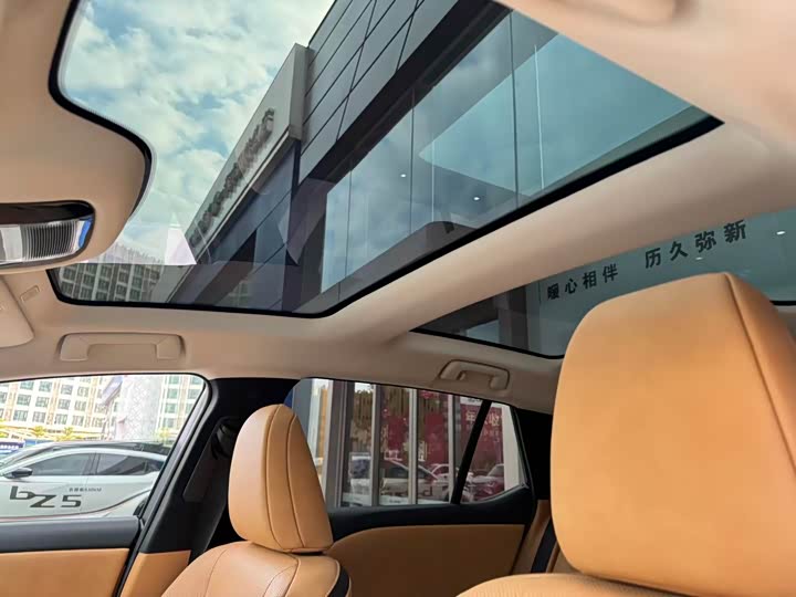 Фото 6 - Lexus RZ