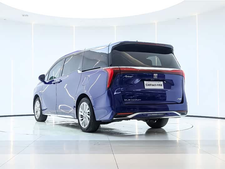 Фото 4 - Buick GL8 Century