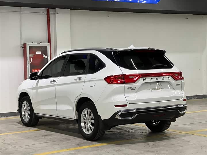 Фото 4 - Haval M6
