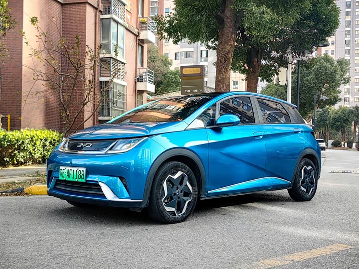 Фото 1 - BYD Dolphin