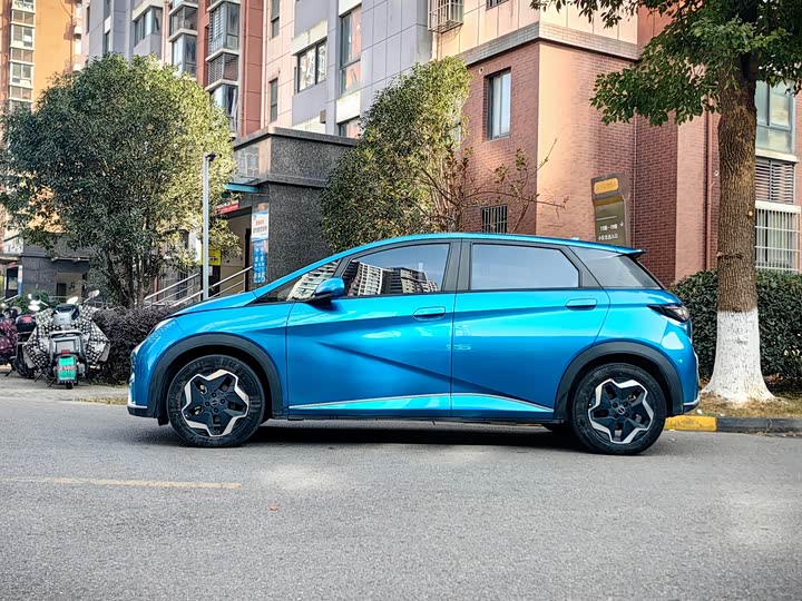 Фото 3 - BYD Dolphin