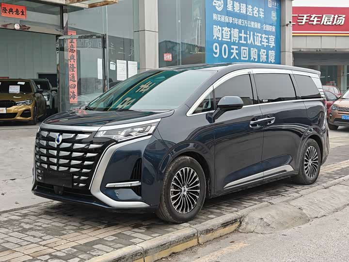 Фото 1 - Denza D9