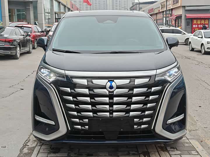 Фото 2 - Denza D9