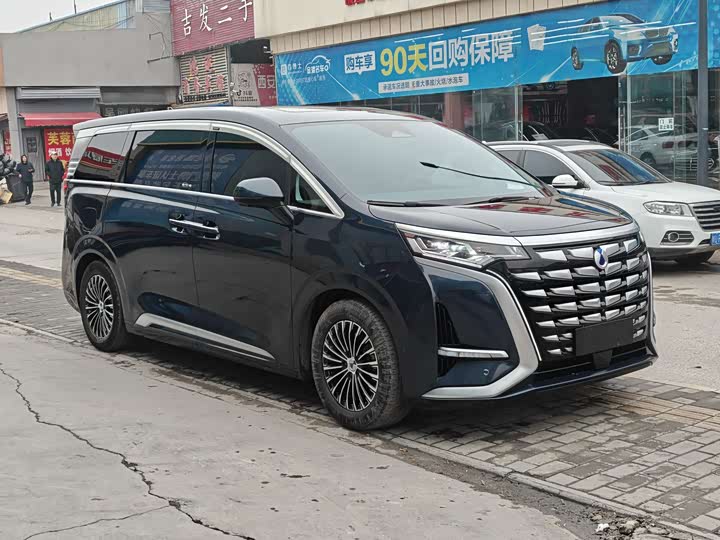 Фото 3 - Denza D9