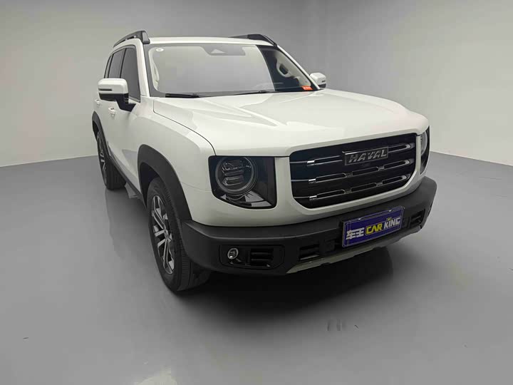 Фото 3 - Haval Dargo