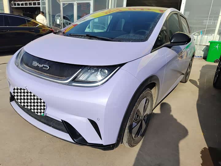 Фото 1 - BYD Dolphin