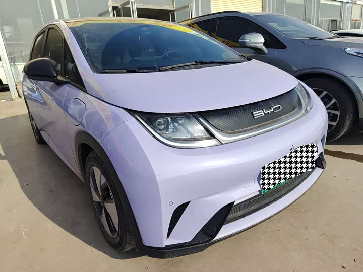 Фото 3 - BYD Dolphin