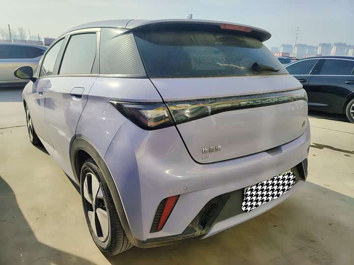 Фото 8 - BYD Dolphin