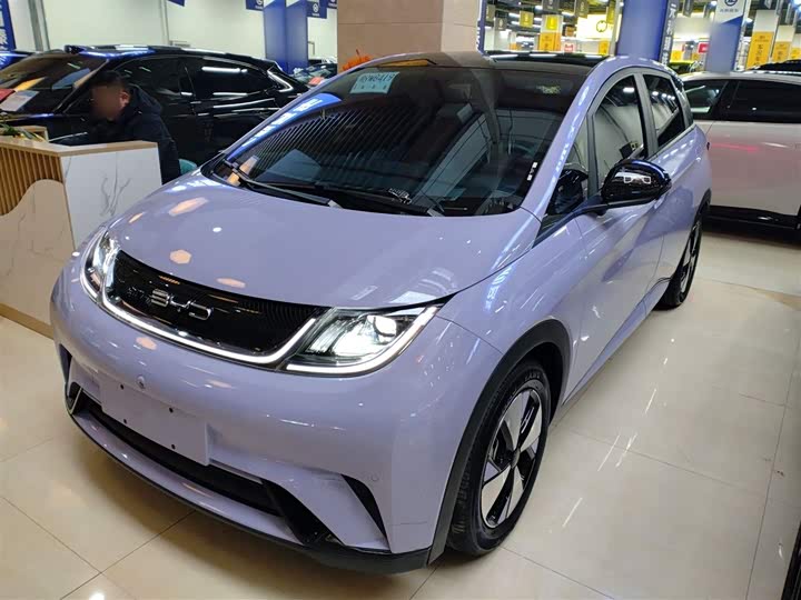 Фото 2 - BYD Dolphin