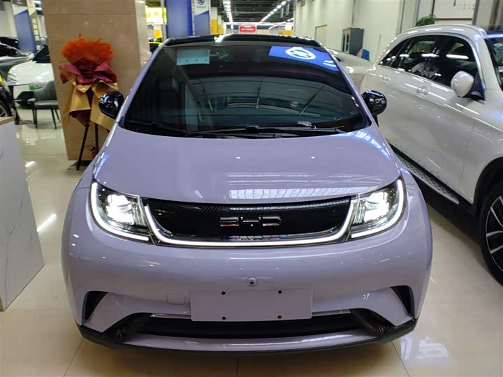 Фото 3 - BYD Dolphin