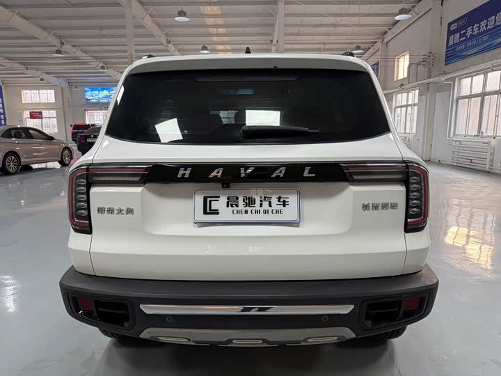 Фото 5 - Haval Dargo