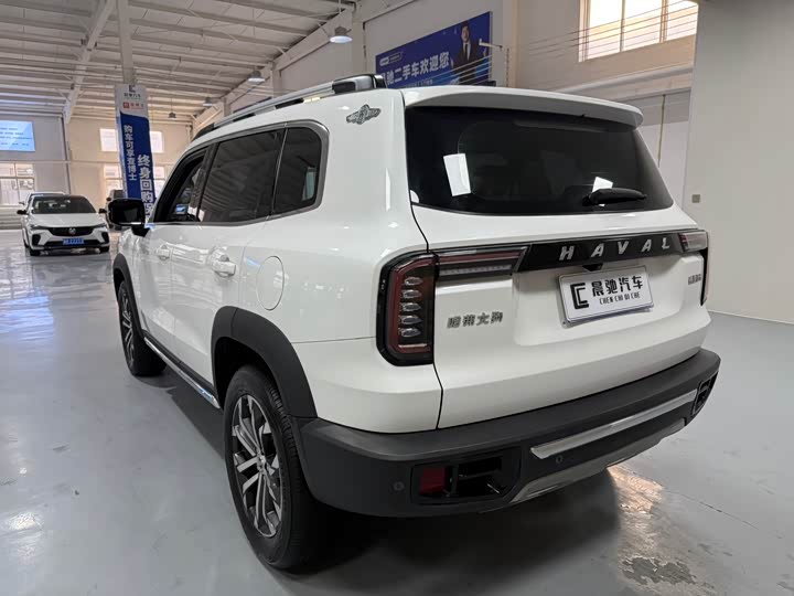 Фото 6 - Haval Dargo