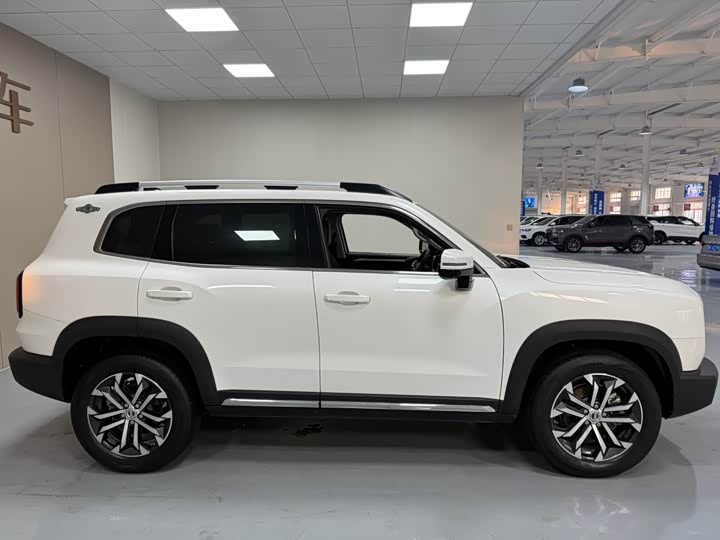 Фото 7 - Haval Dargo