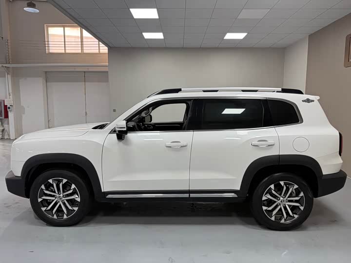 Фото 8 - Haval Dargo