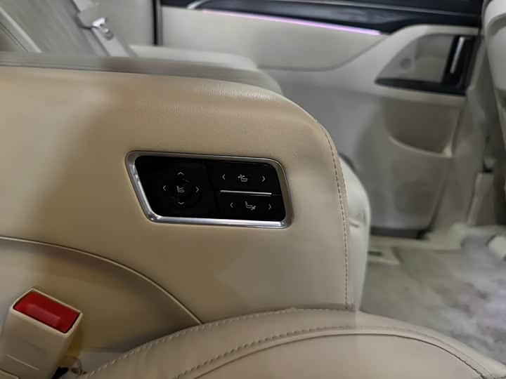 Фото 9 - Buick GL8 ES