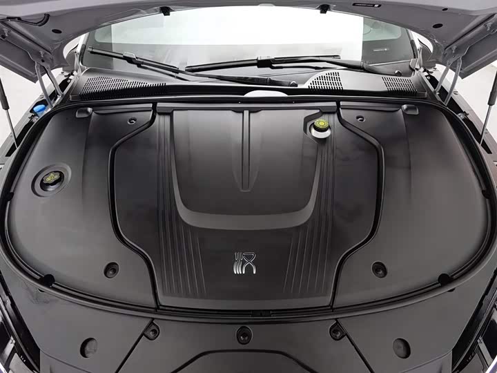 Фото 6 - BYD Han