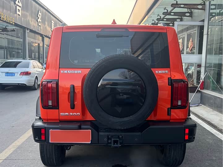 Фото 5 - Tank 300