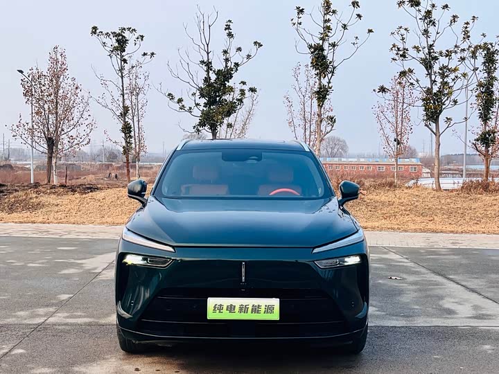 Фото 2 - Wey Lanshan