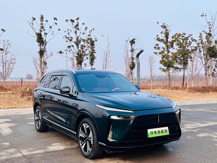 Фото 3 - Wey Lanshan