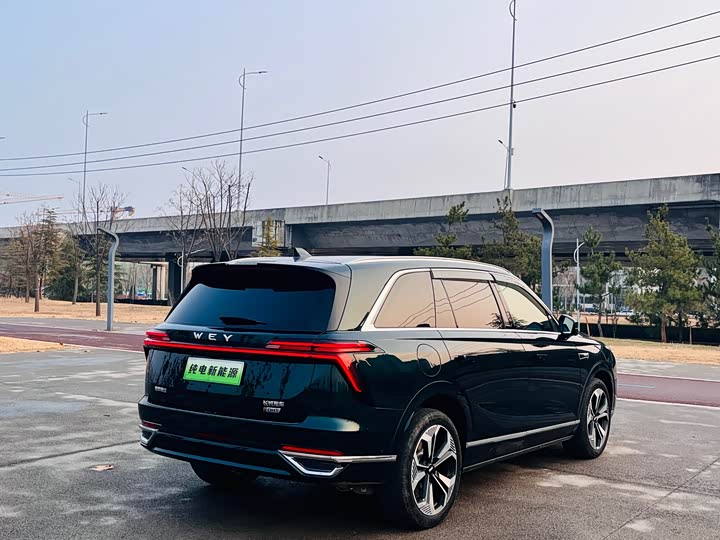 Фото 8 - Wey Lanshan