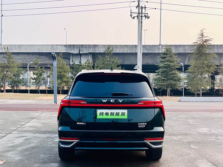 Фото 9 - Wey Lanshan