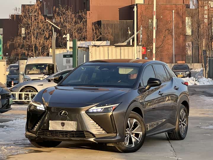 Фото 1 - Lexus RZ