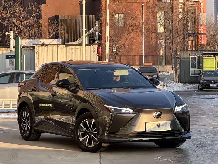 Фото 3 - Lexus RZ