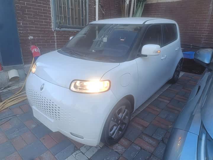 Фото 2 - Ora White Cat