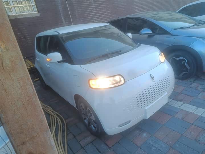 Фото 4 - Ora White Cat