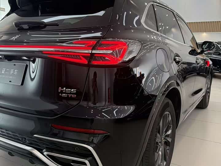 Фото 8 - Hongqi HS5