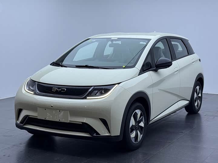 Фото 2 - BYD Dolphin