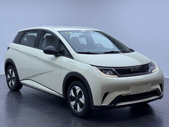 Фото 3 - BYD Dolphin