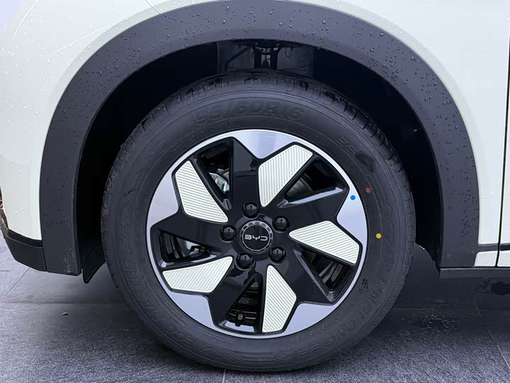 Фото 4 - BYD Dolphin