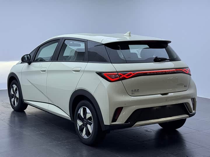 Фото 7 - BYD Dolphin