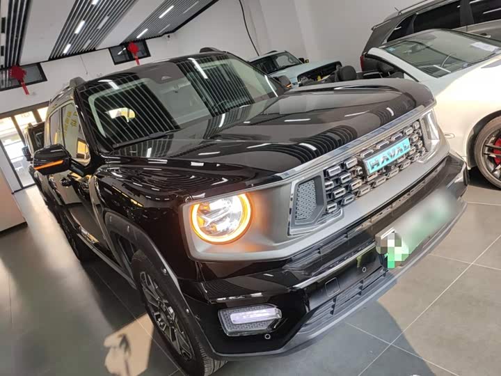 Фото 4 - Haval H-Dog Hybrid