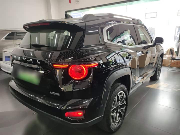 Фото 7 - Haval H-Dog Hybrid