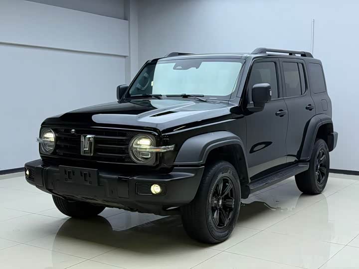 Фото 1 - Tank 300