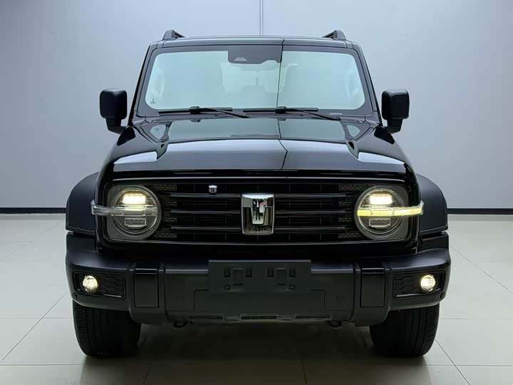 Фото 2 - Tank 300