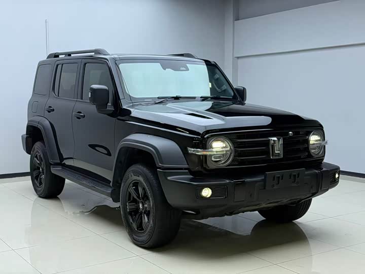 Фото 3 - Tank 300