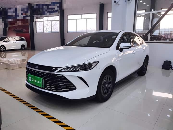 Фото 2 - BYD Qin Plus