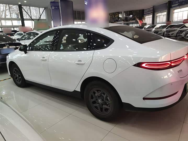 Фото 5 - BYD Qin Plus