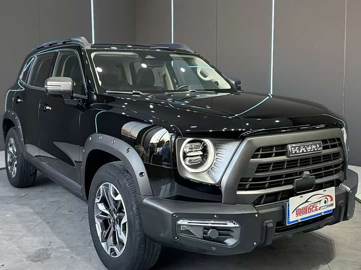 Фото 3 - Haval Dargo